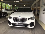 BMW X5 2021