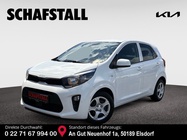 Kia Picanto 2024
