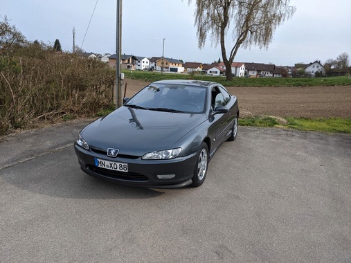 Peugeot 406 2001