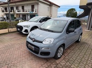 Fiat Panda 2021