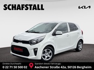 Kia Picanto 2024