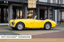 Austin Healey Other 1957