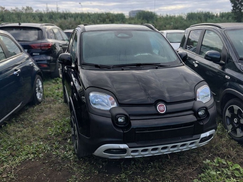 Fiat Other