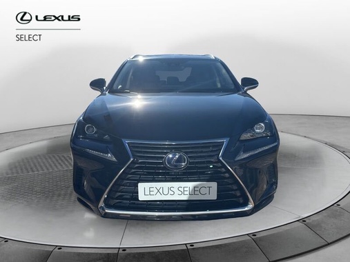 Lexus Other 2021