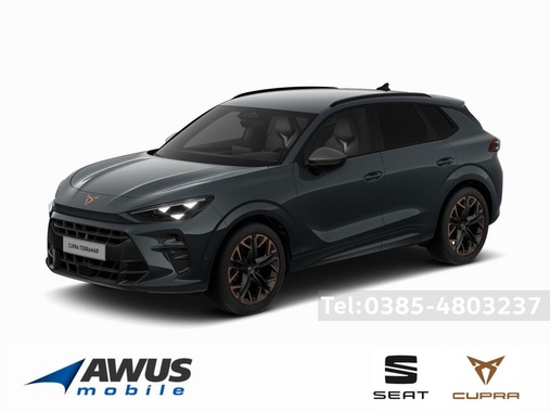 Cupra Terramar 2025