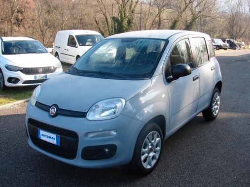 Fiat Panda 2019