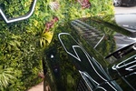 Фото 6