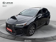 Lexus Other 2022