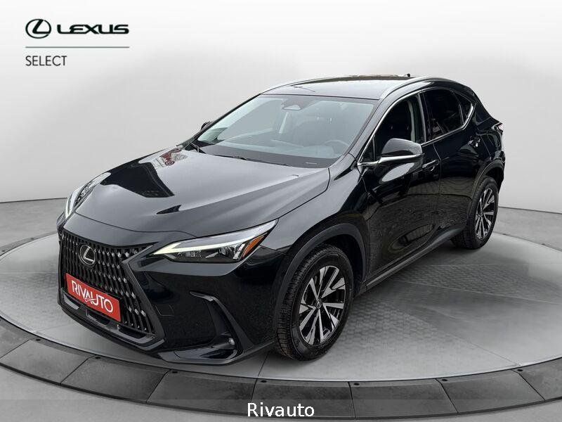 Lexus Other