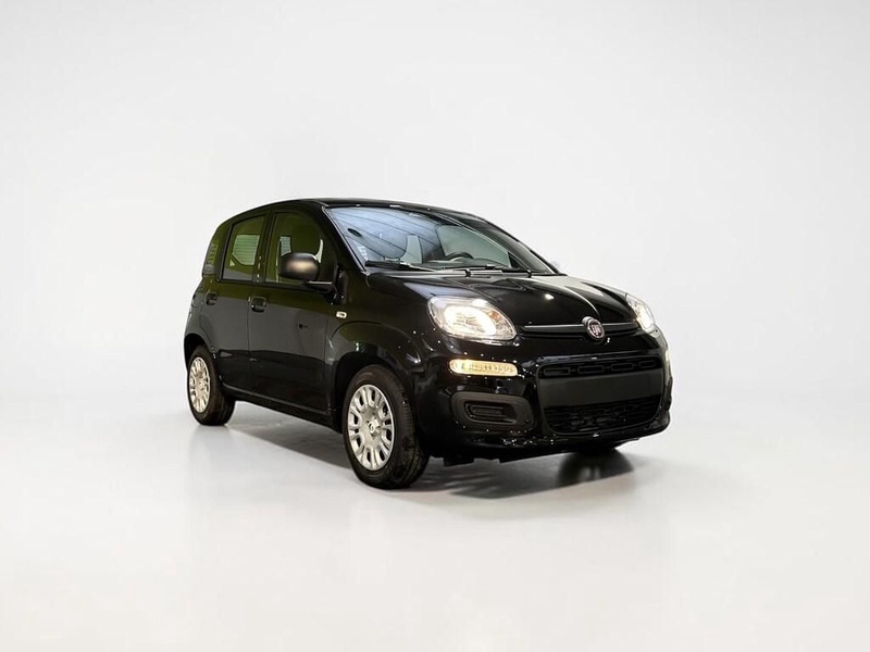 Fiat Other