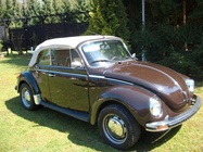 Volkswagen Kafer 1979