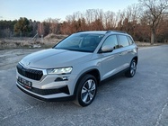 Skoda Karoq 2022