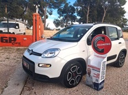 Fiat Panda 2022