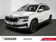 Skoda Karoq 2025