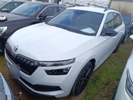 Skoda Kamiq 2024