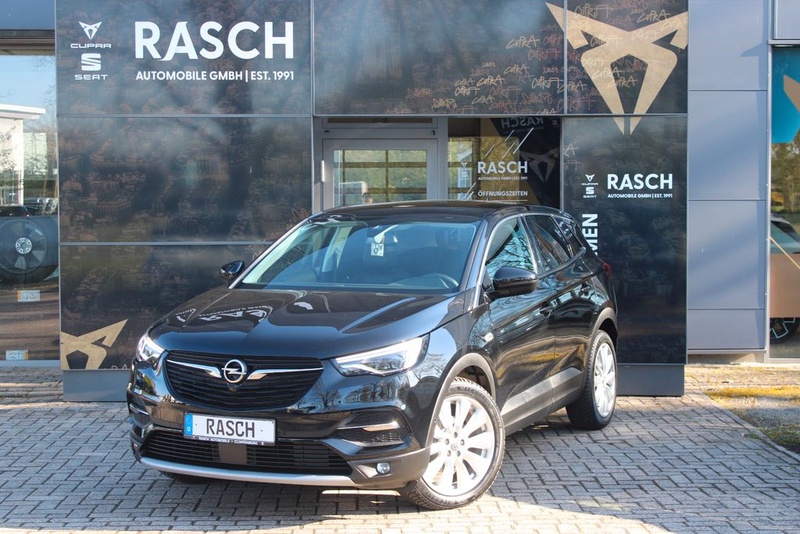Opel Other