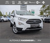Ford EcoSport 2021