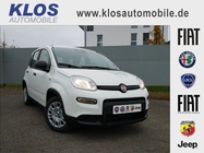 Fiat Panda 2024