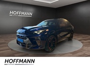 Cupra Terramar 2025