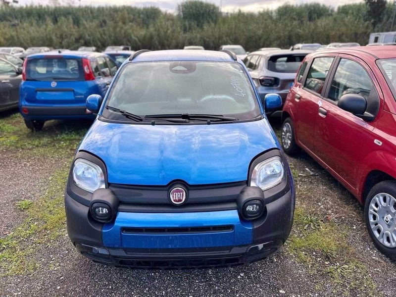 Fiat Other