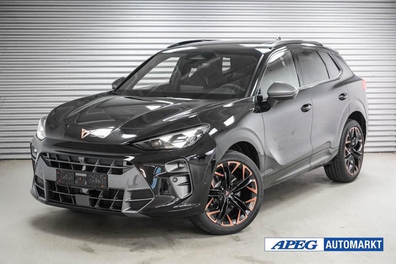 Cupra Terramar 2025