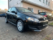 Volkswagen Polo 2010