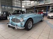 Austin Healey Other 1957