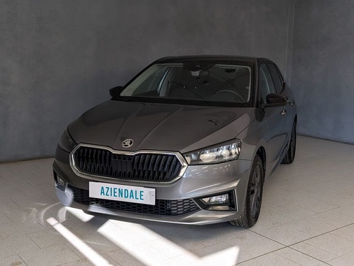 Skoda Other 2025