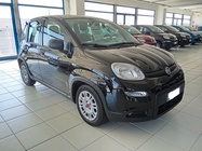 Fiat Panda 2024
