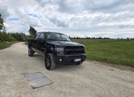 Ford F150 2010