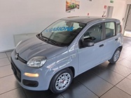 Fiat Panda 2021
