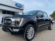 Ford F150 2023