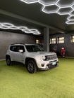 Jeep Renegade 2019