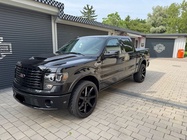 Ford F150 2013