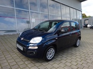 Fiat Panda 2022