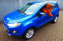 Ford EcoSport 2016
