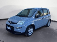Fiat Panda 2022