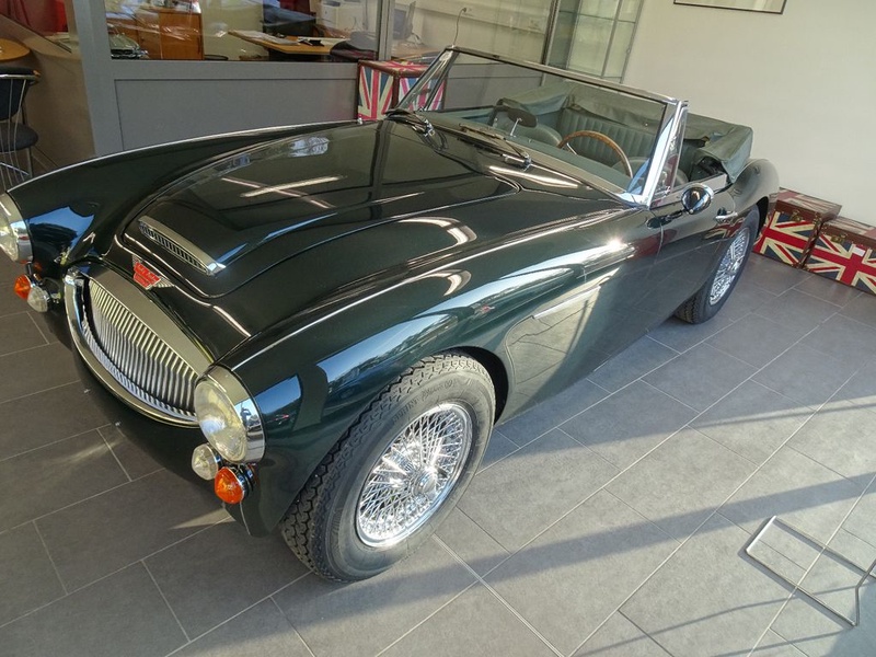 Austin Healey Other