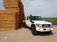 Toyota Land Cruiser 2024