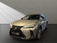 Lexus UX 2025