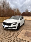 Skoda Kamiq 2020