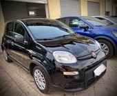 Fiat Panda 2023