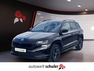 Skoda Karoq 2025