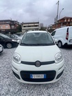 Fiat Panda 2020