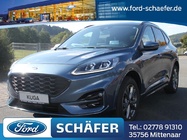 Ford Kuga 2022