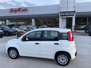 Fiat Panda 2020