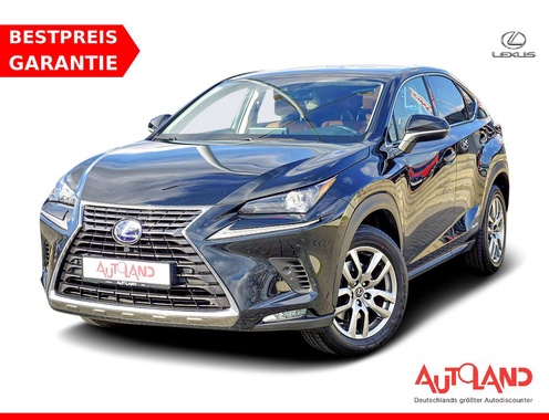Lexus NX 2021