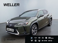 Lexus UX 2021