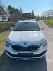 Skoda Kamiq 2022