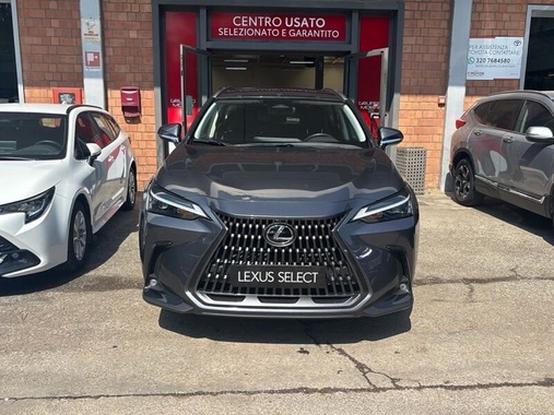 Lexus Other 2023